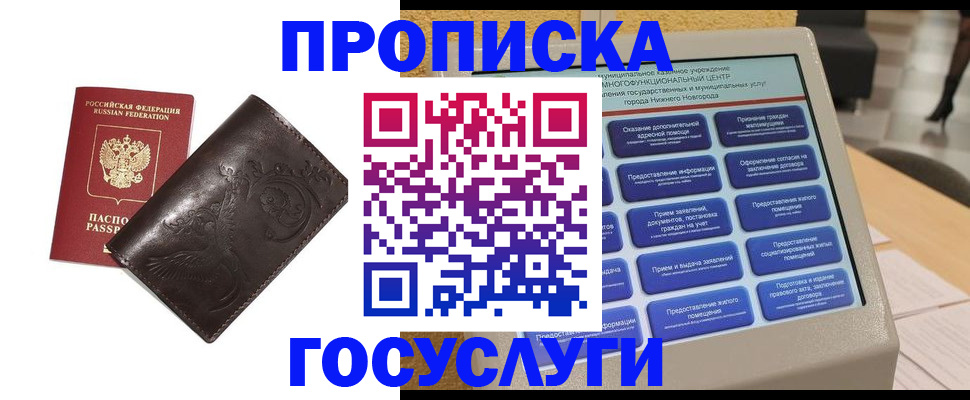 прописка в Димитровграде