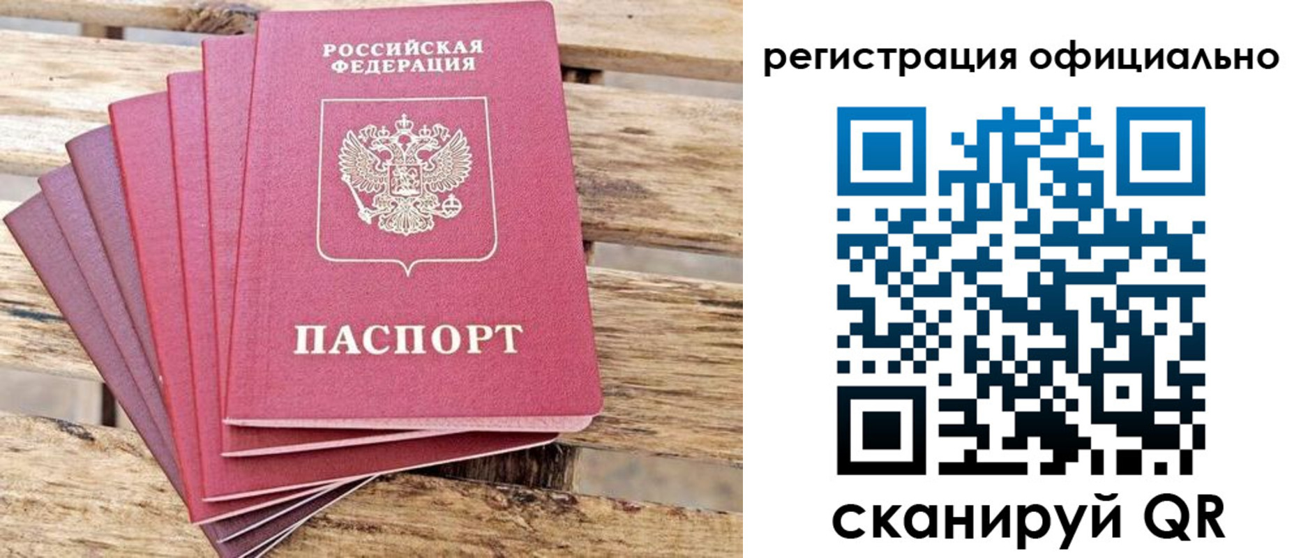 прописка законно в Димитровграде